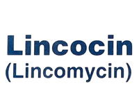 Lincocin capsules