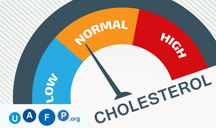 Cholesterol Levels