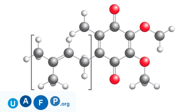 Coenzyme Molecule